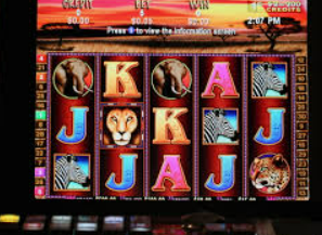 威廉体育最新版