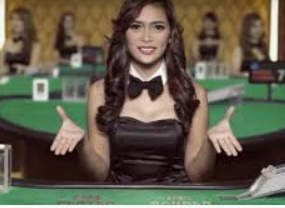 威廉体育正式版